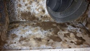 Mold-Removal-Duct-Repair