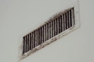 Mold-in-Air-Vents