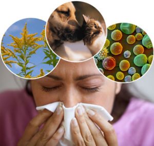 How-poor-indoor-air-quality-could-trigger-allergies-4